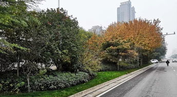 喜報(bào) 人文園林榮膺2018年度杭州市優(yōu)秀園林綠化工程“三金”殊榮